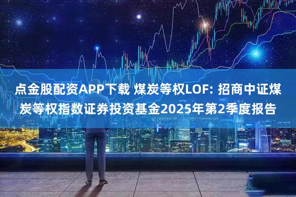 点金股配资APP下载 煤炭等权LOF: 招商中证煤炭等权指数证券投资基金2025年第2季度报告